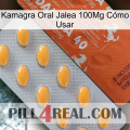 Kamagra Oral Jalea 100Mg Cómo Usar 43